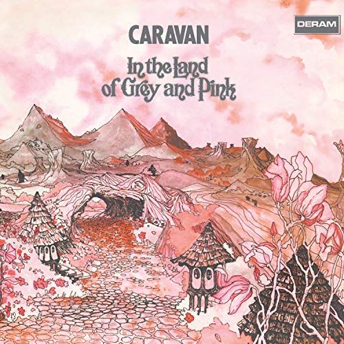 In the Land of Grey and Pink cover art