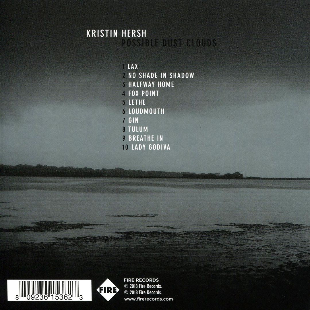 Possible Dust Clouds cover art