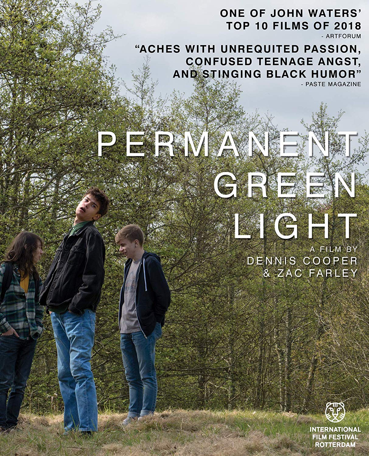 Permanent Green Light [Blu-ray] cover art