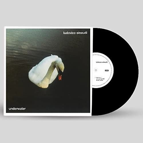 Underwater cover art