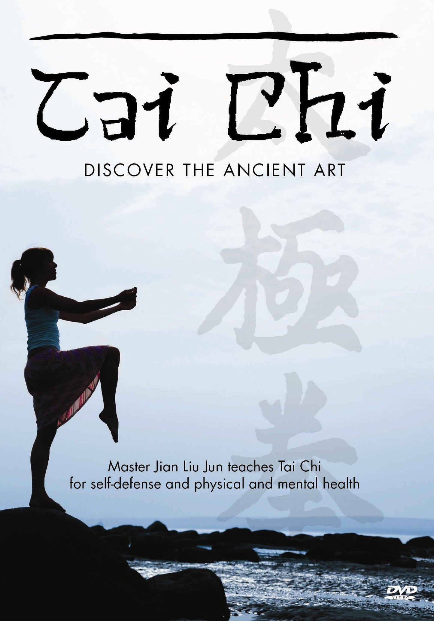 Tai Chi: Discover The Ancient Art (USA Import) cover art