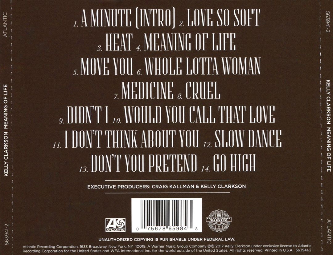 Meaning of Life cover art