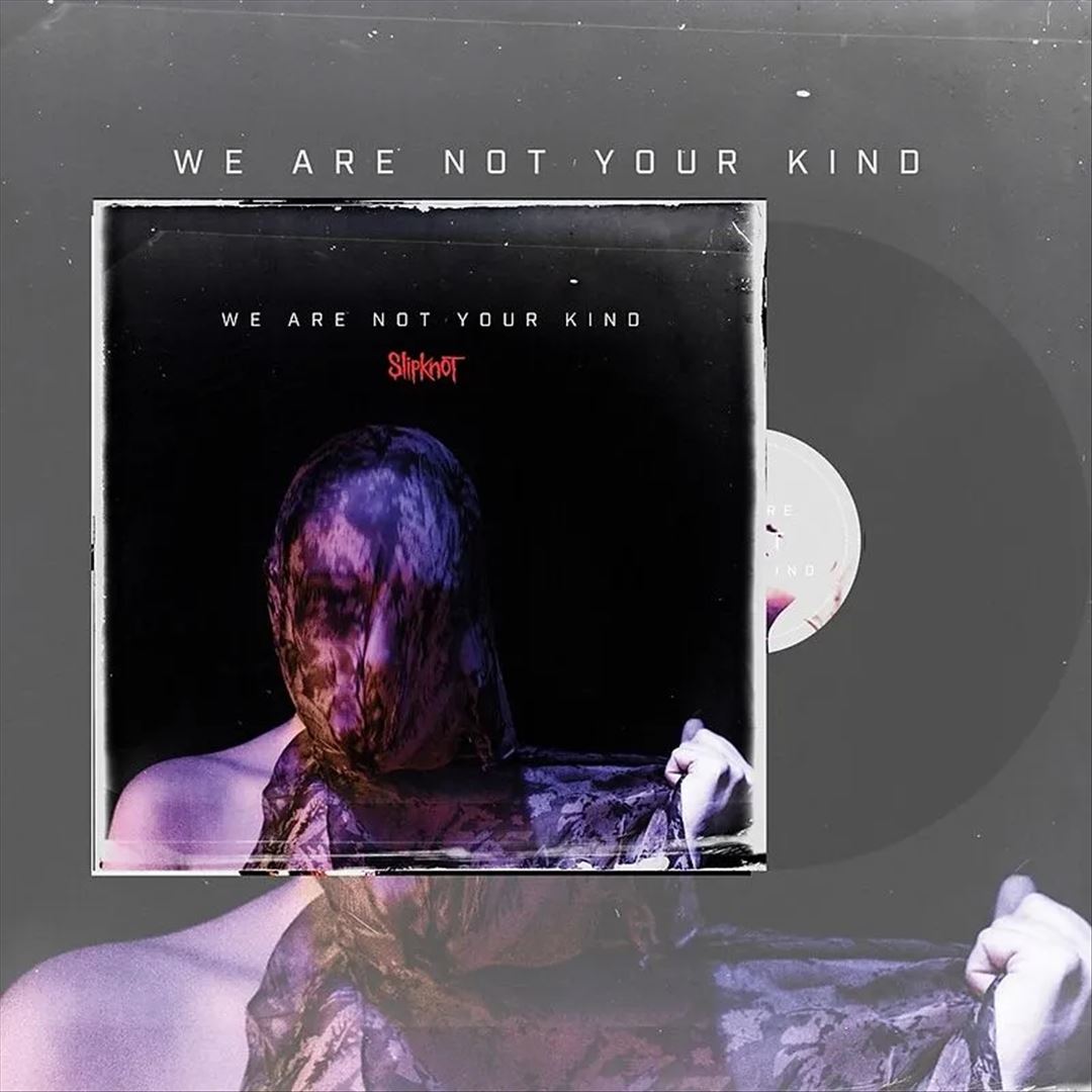 We Are Not Your Kind cover art