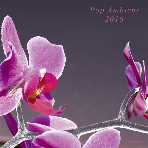 Pop Ambient 2016 cover art