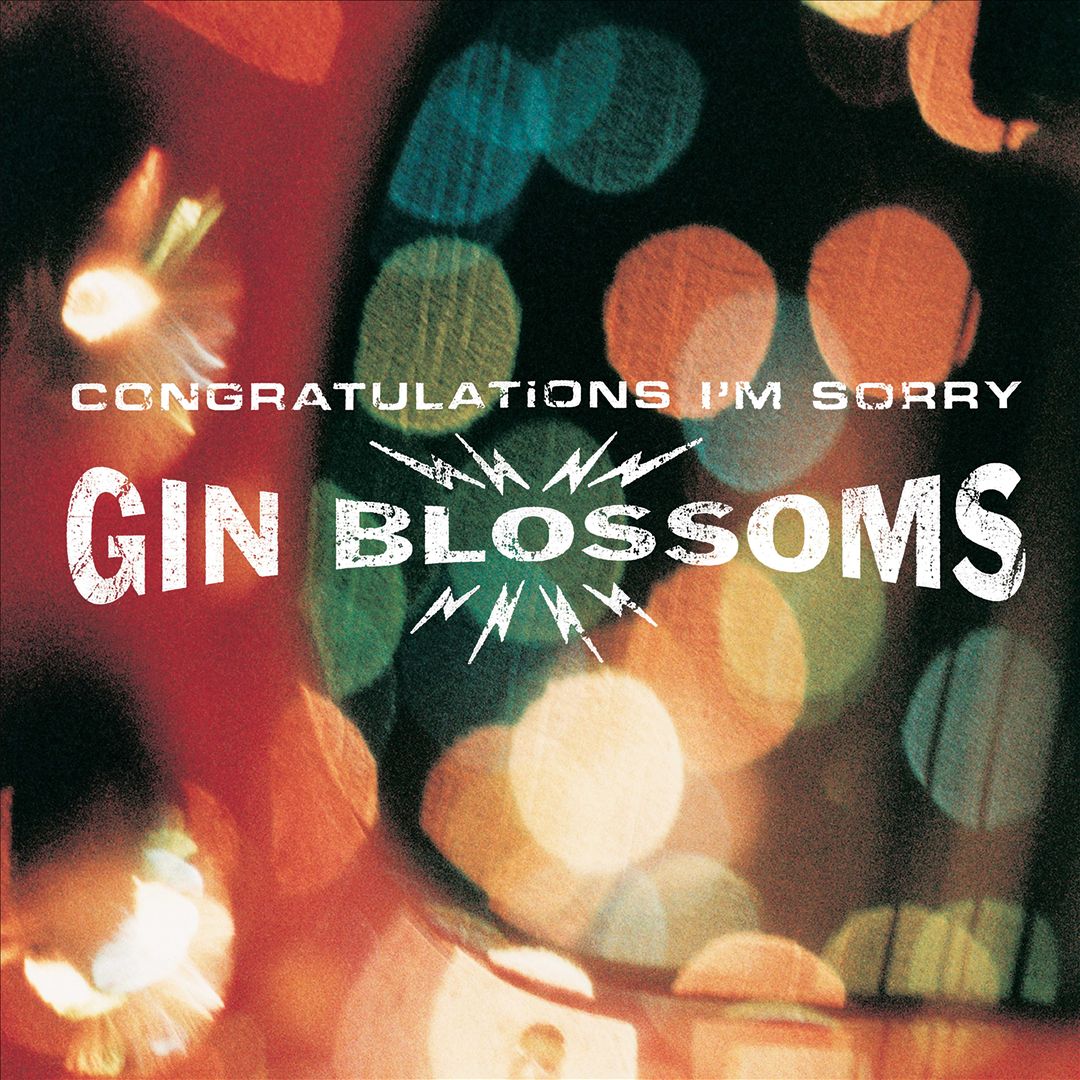 Congratulations I'm Sorry [LP] cover art