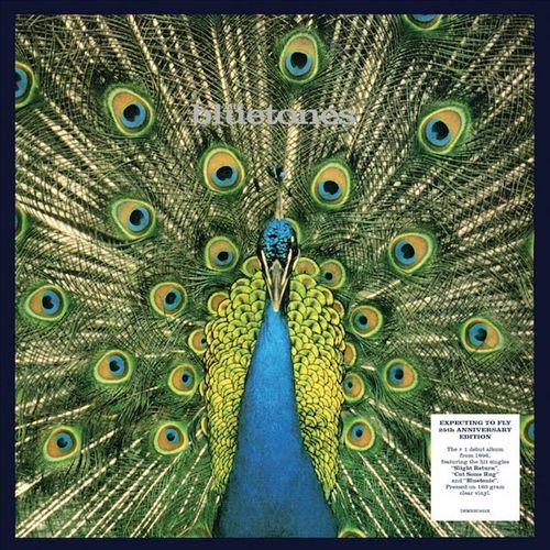 Expecting to Fly cover art
