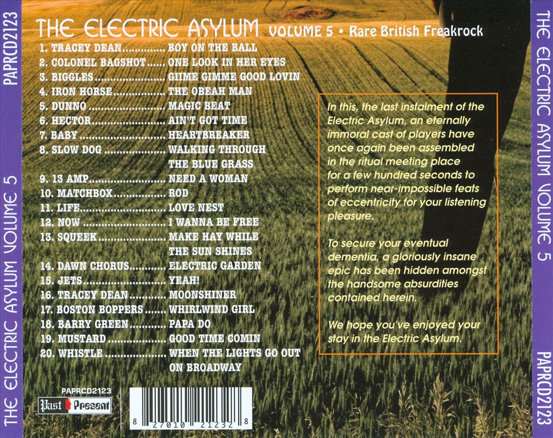 Electric Asylum, Vol. 5: Rare British Freakrock cover art