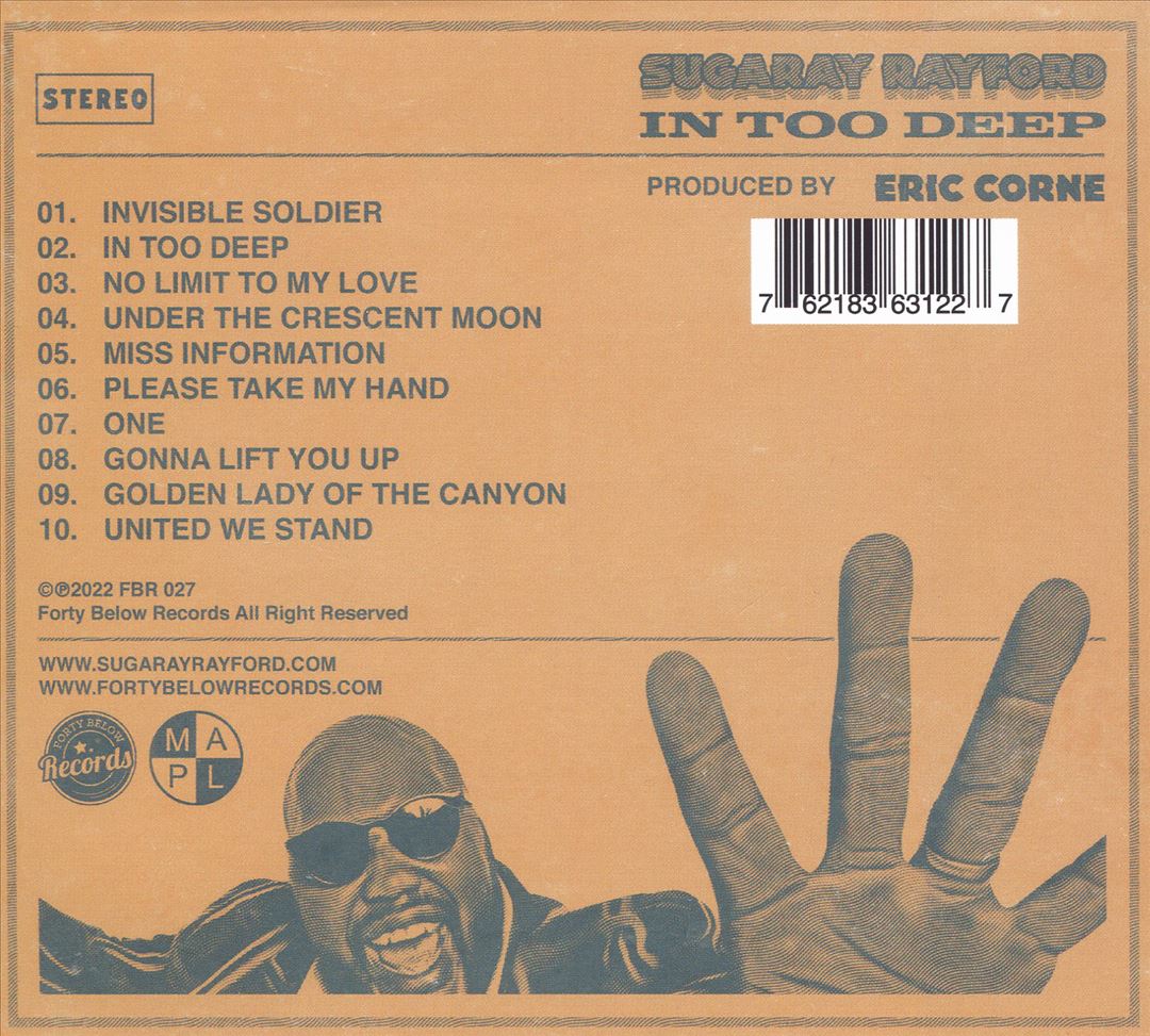 In Too Deep cover art