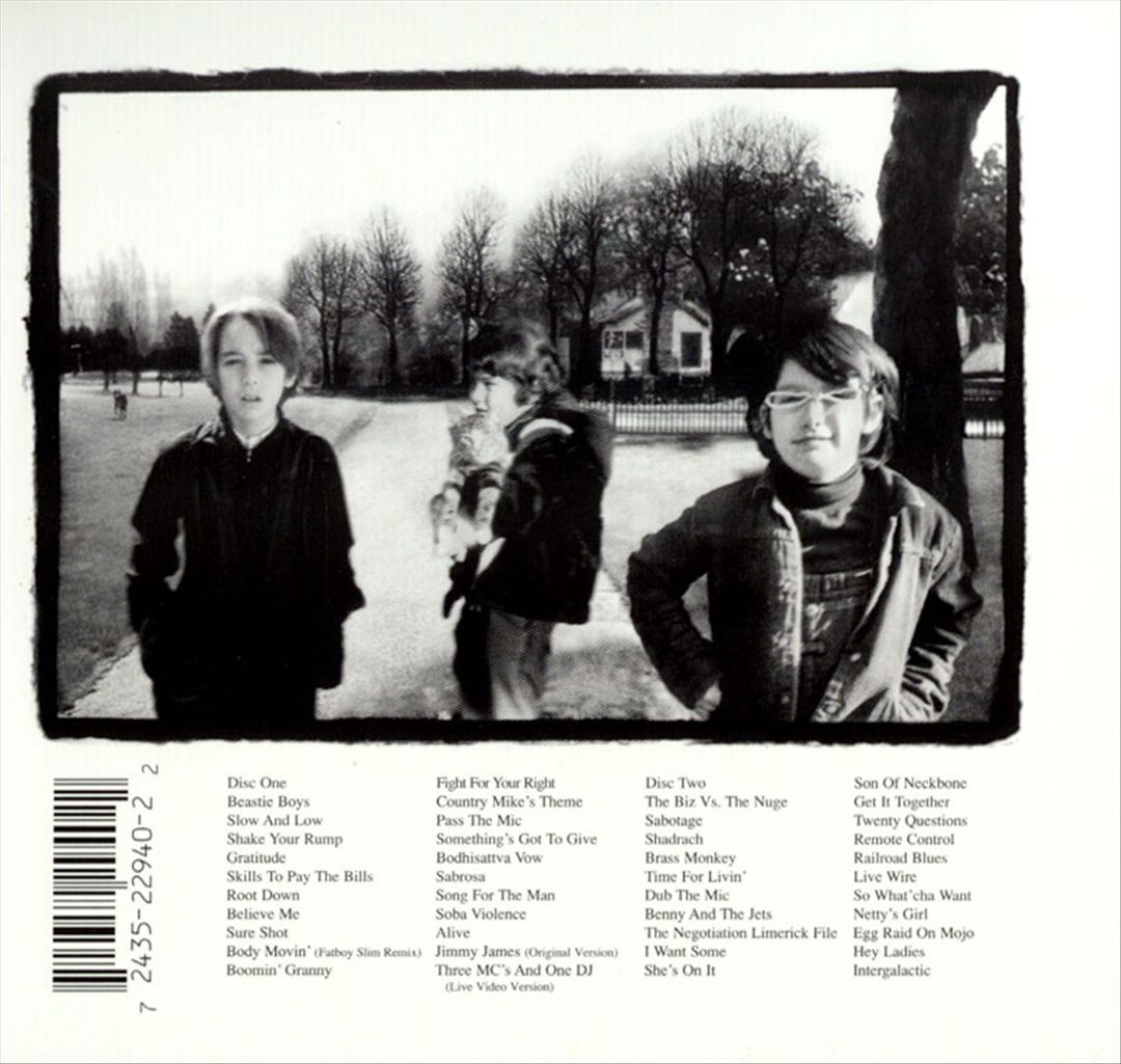 Beastie Boys Anthology: The Sounds of Science cover art