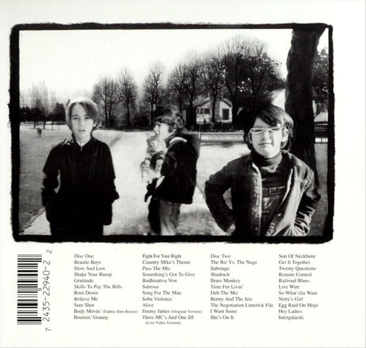 Beastie Boys Anthology: The Sounds of Science cover art