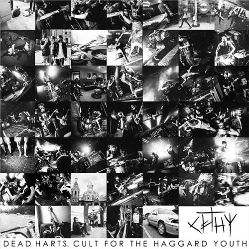 Cult for the Haggard Youth cover art