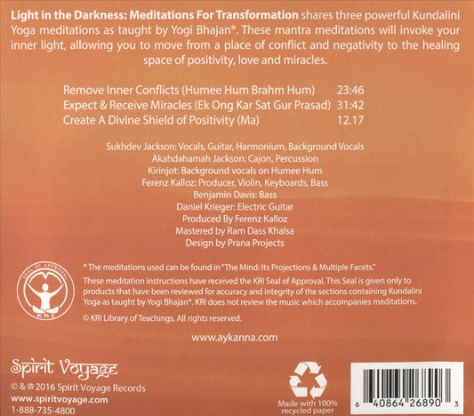 Light in the Darkness: Meditations For cover art
