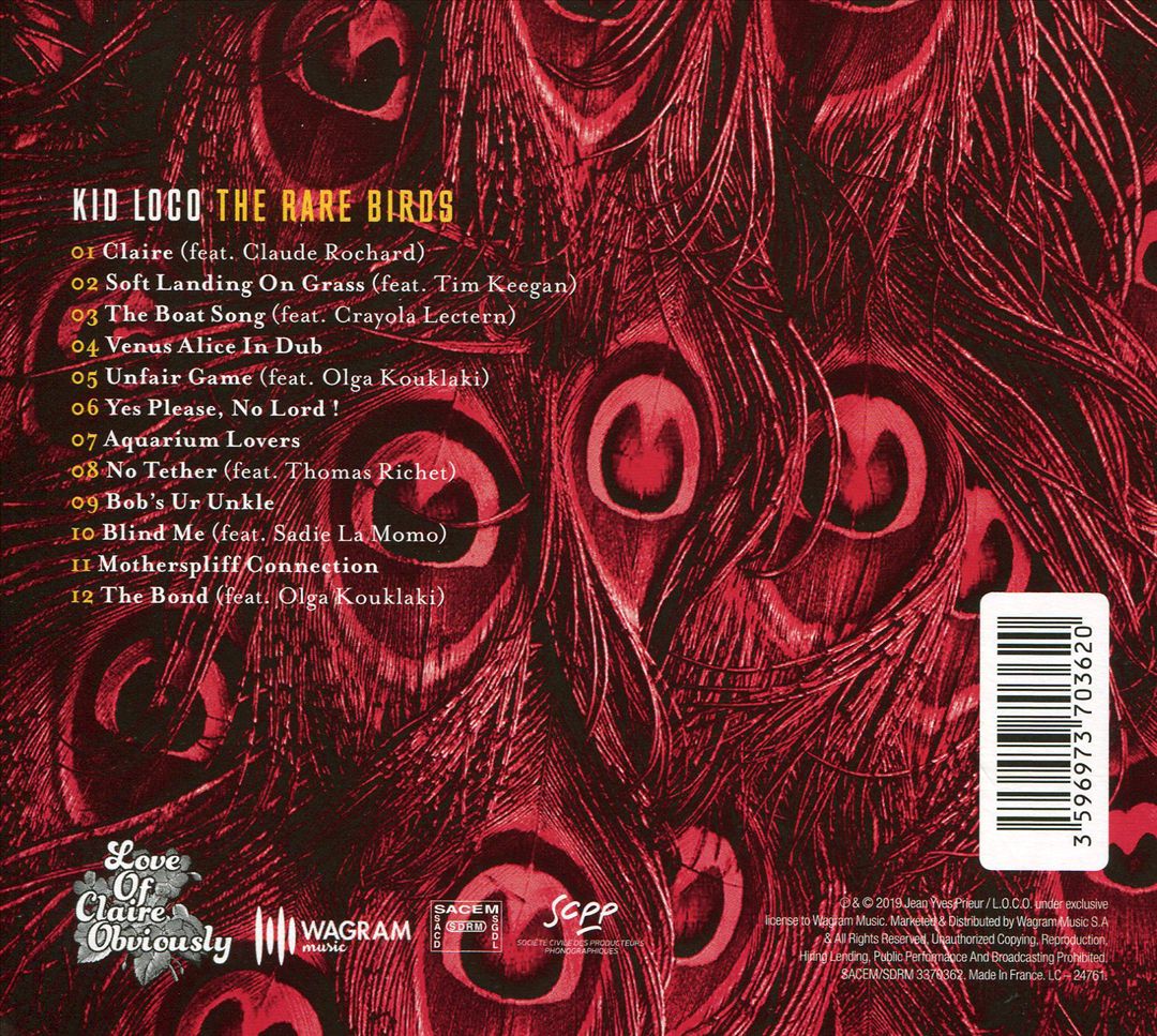 Rare Birds cover art