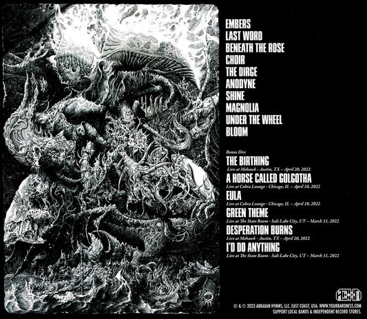 Stone [Deluxe Edition] cover art