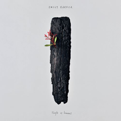 Fragile as Humans cover art