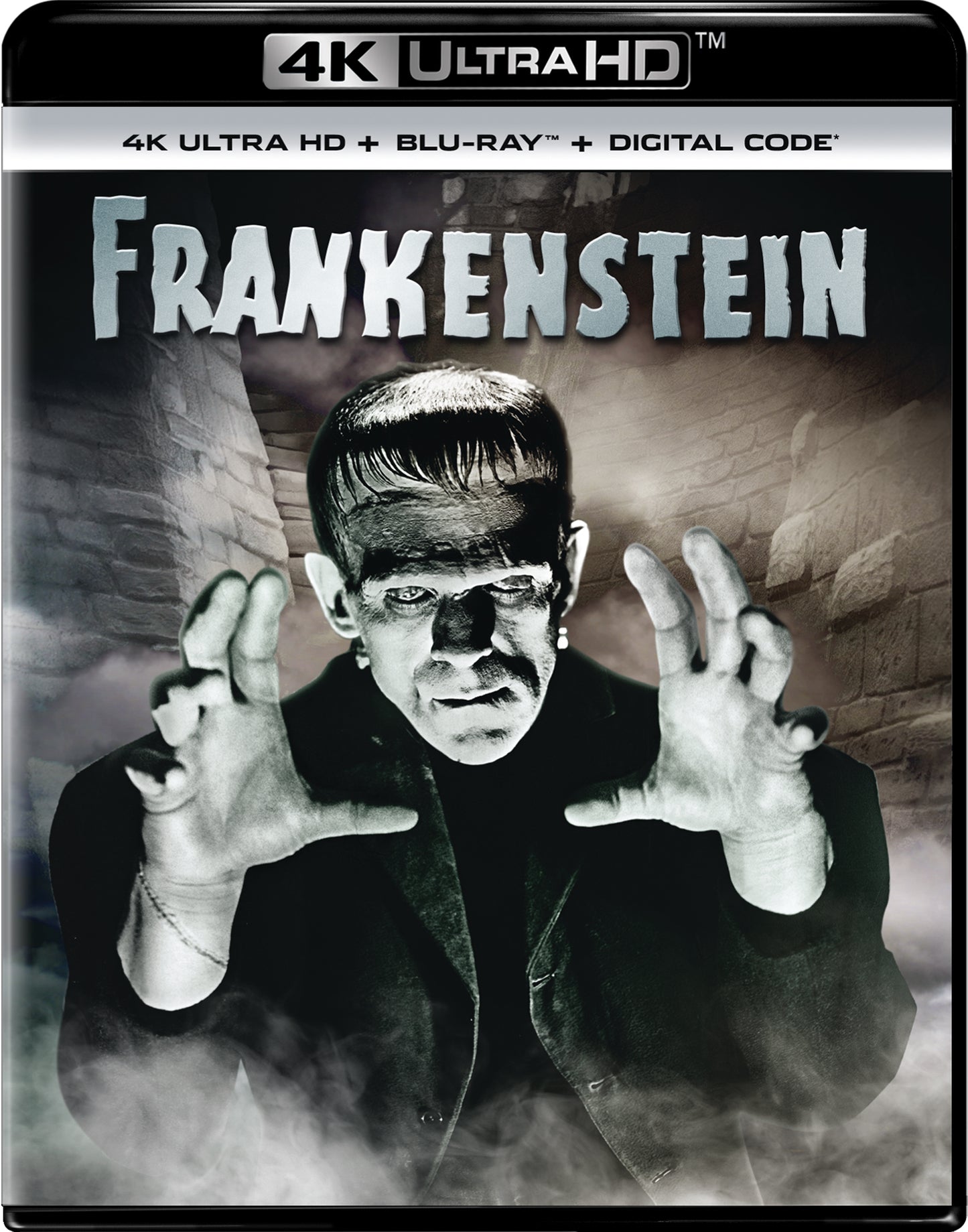 Frankenstein [Includes Digital Copy] [4K Ultra HD Blu-ray/Blu-ray] cover art