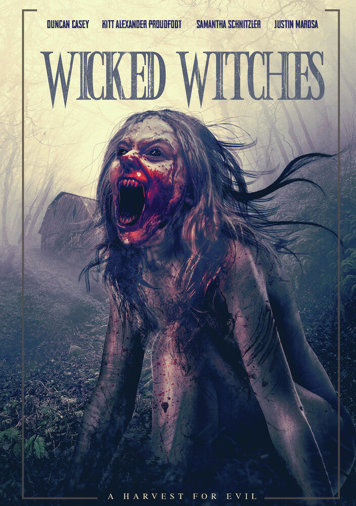 Wicked Witches cover art