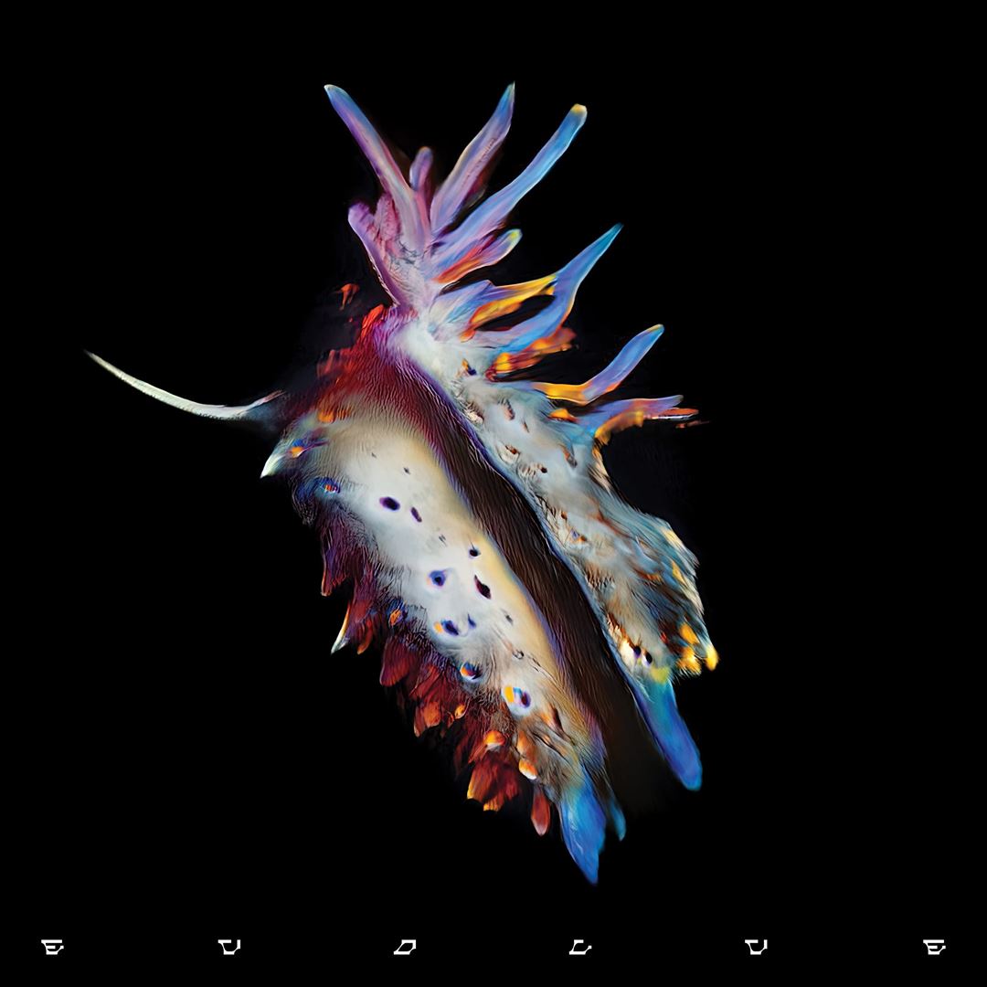 Evolve cover art