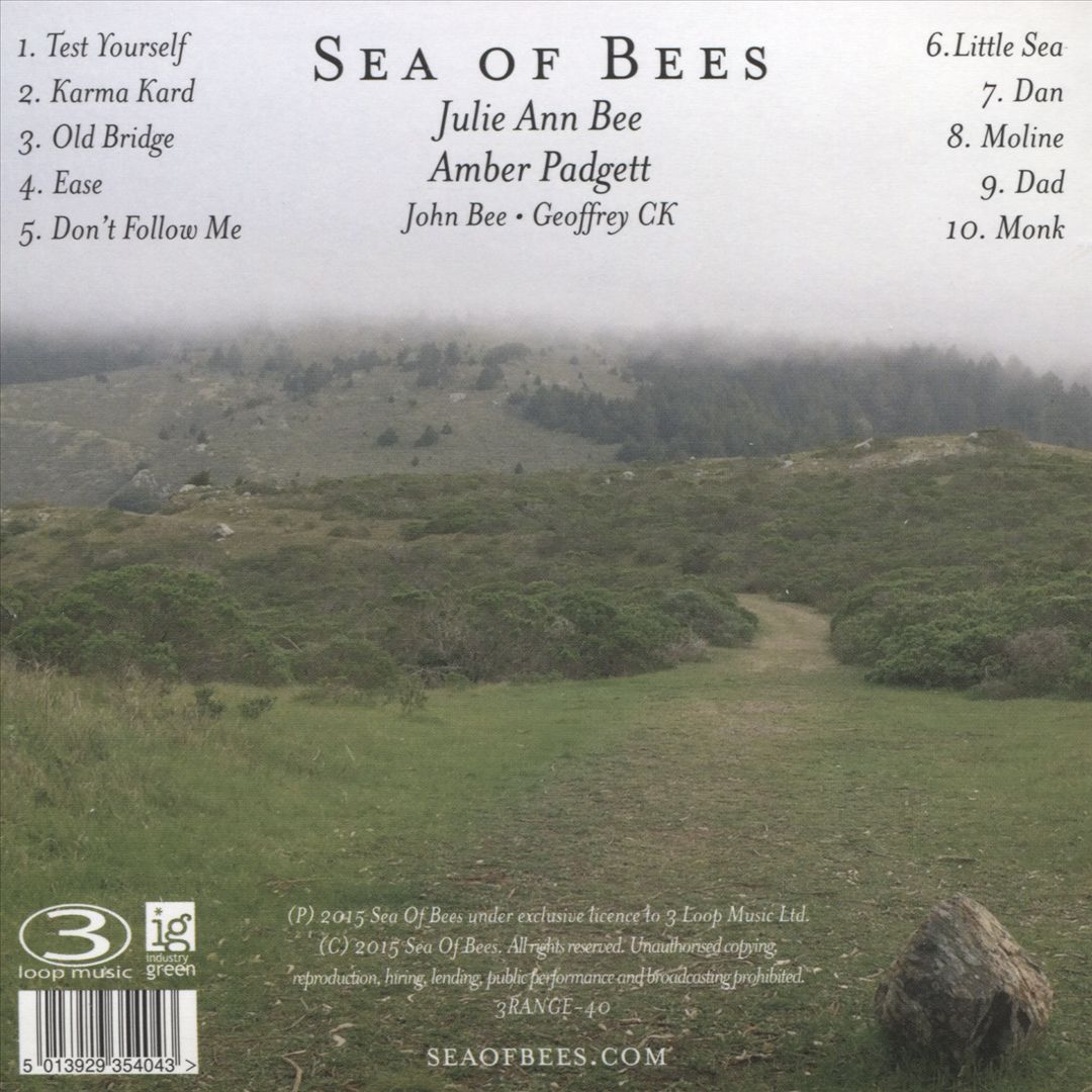 Build a Boat to the Sun cover art