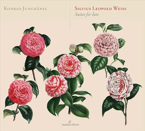 Sylvius Leopold Weiss: Suites for Lute cover art