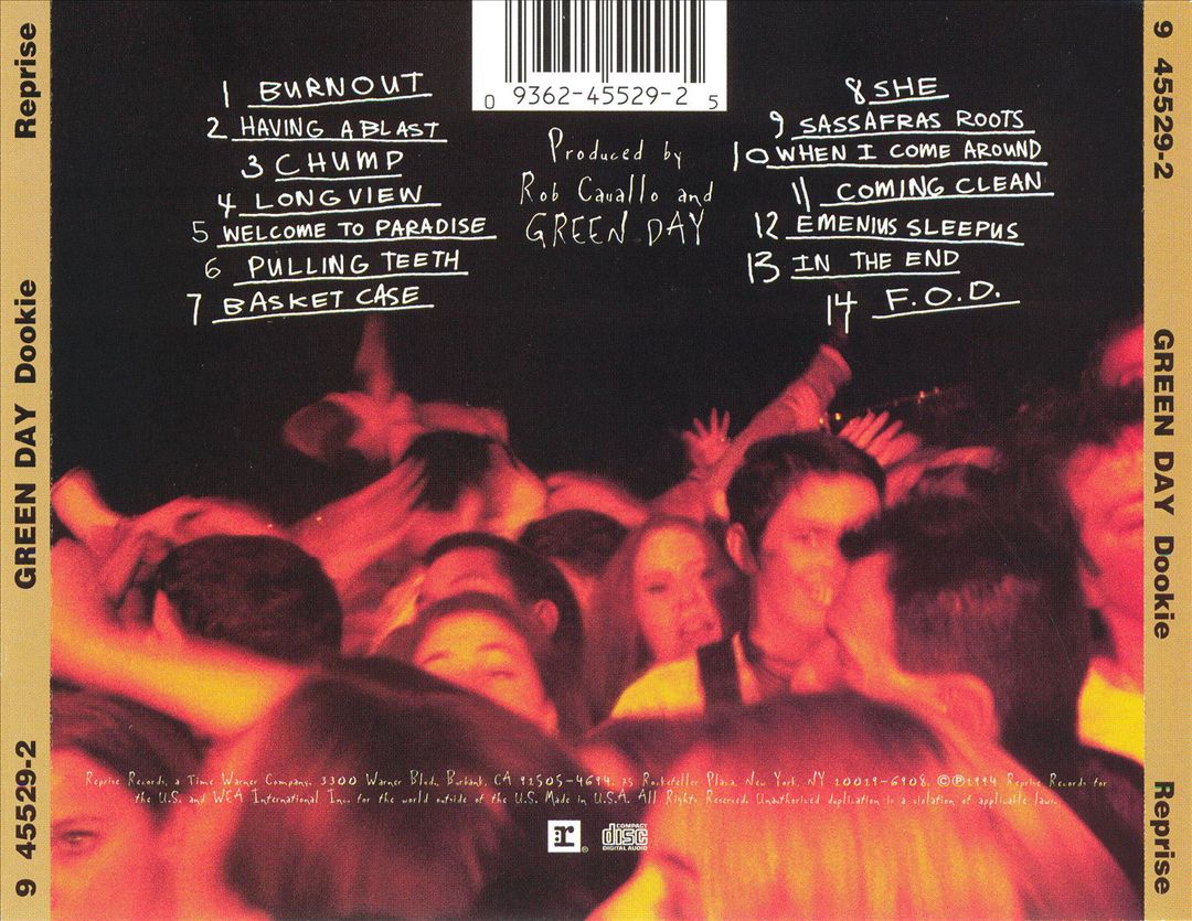 Dookie cover art
