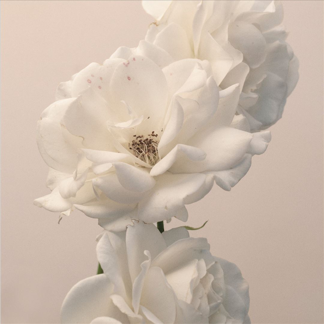 Turn the Light On cover art