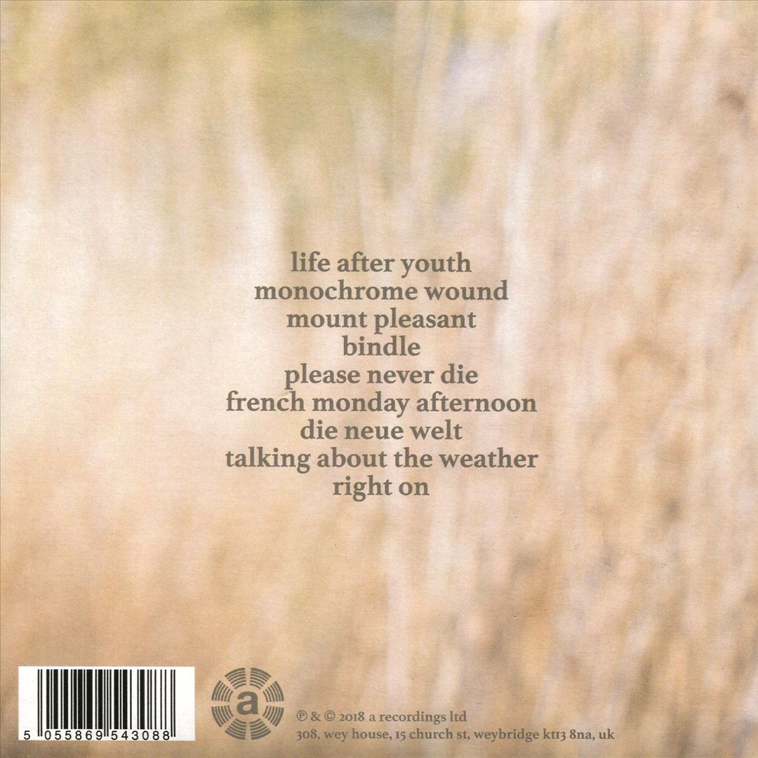 Tess Parks & Anton Newcombe cover art