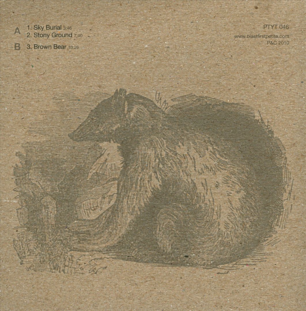 Brown Bear cover art
