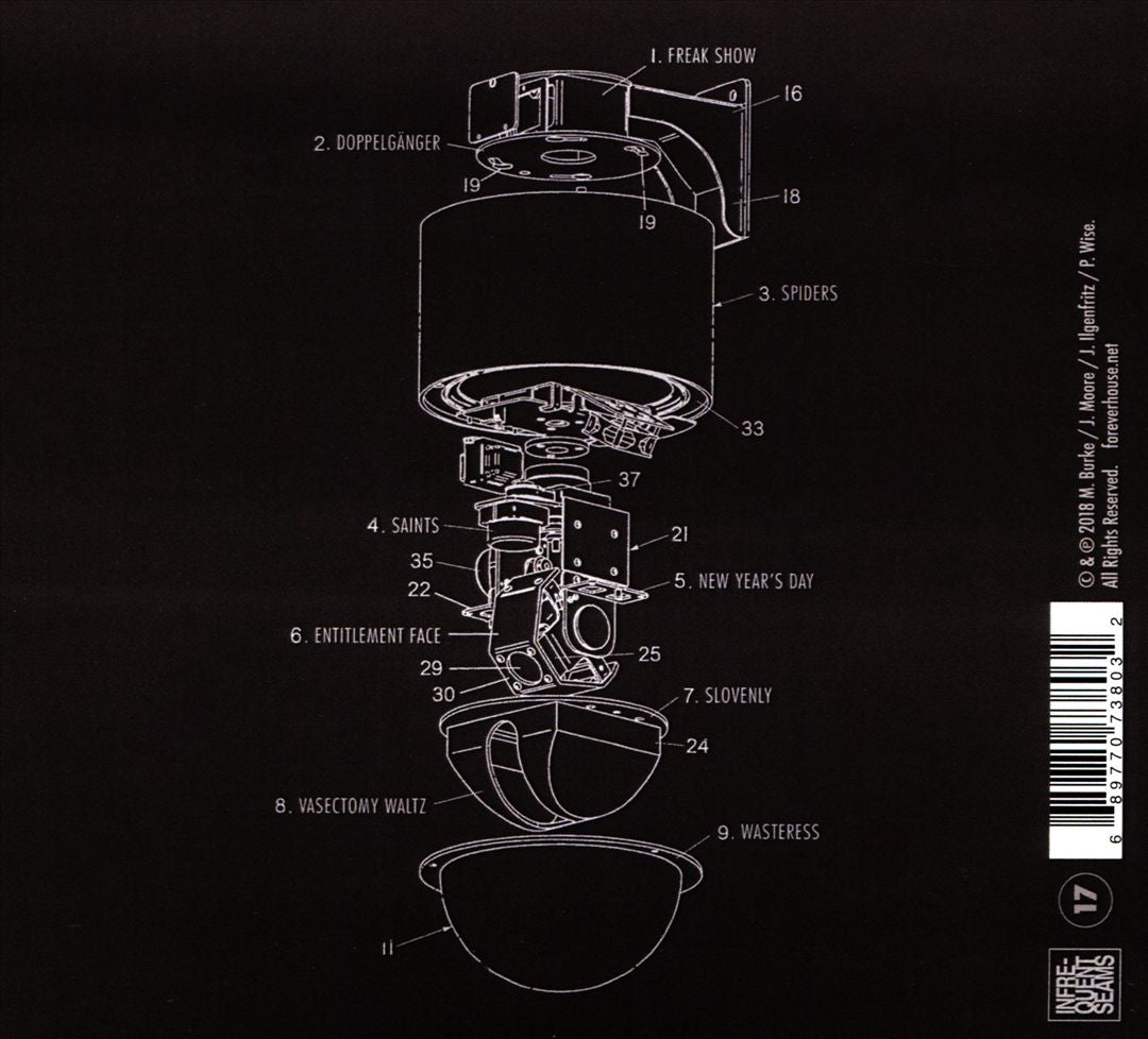 Eaves cover art