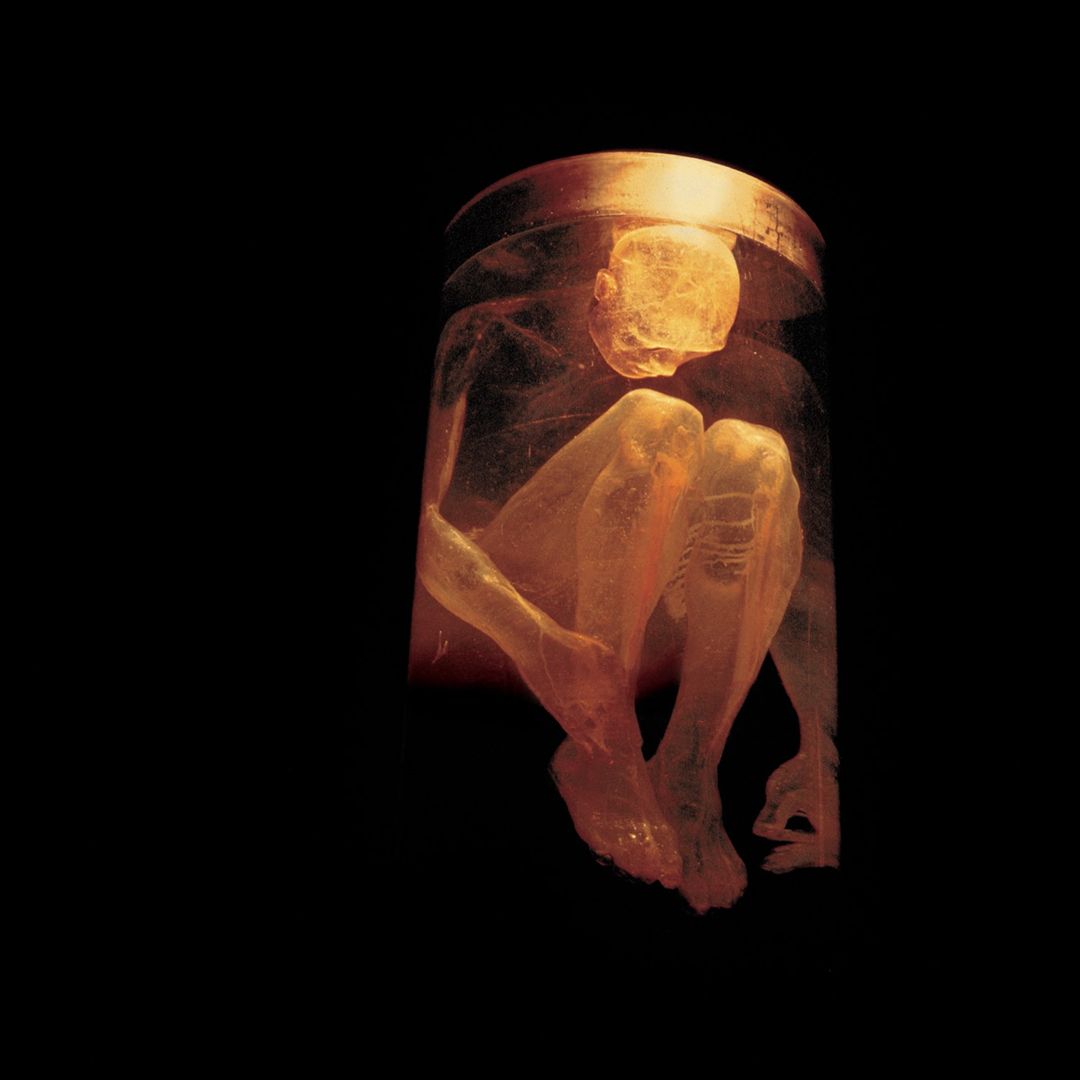 Nothing Safe: Best of the Box cover art