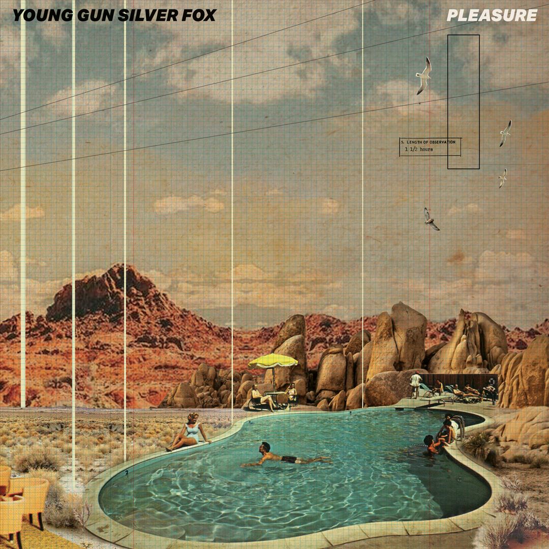 Pleasure cover art