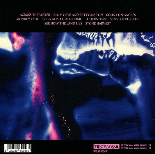 The Glass Bead Game [Deluxe] cover art