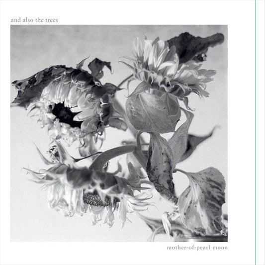 Mother-of-Pearl Moon cover art