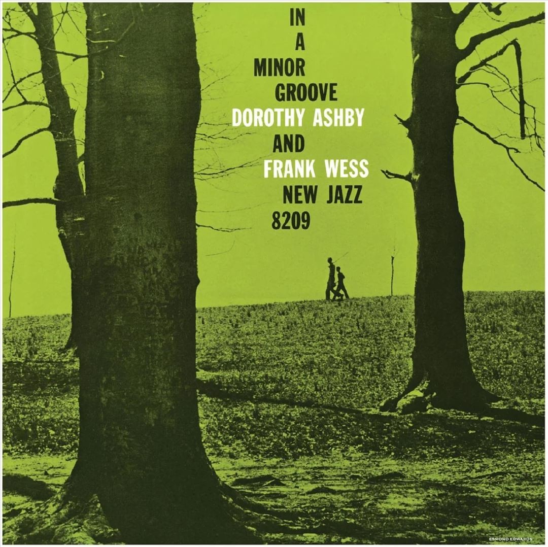 In a Minor Groove cover art
