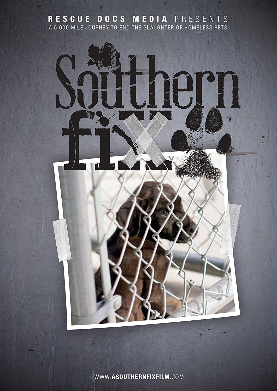 Southern Fix cover art