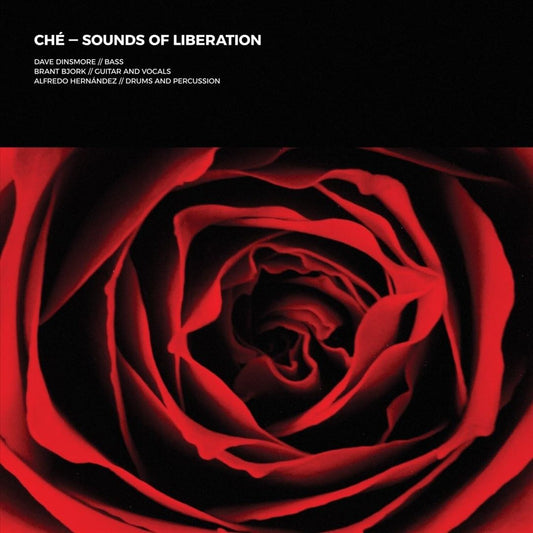 Sounds of Liberation cover art