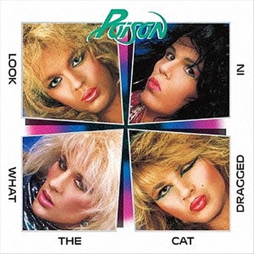 Look What the Cat Dragged In cover art