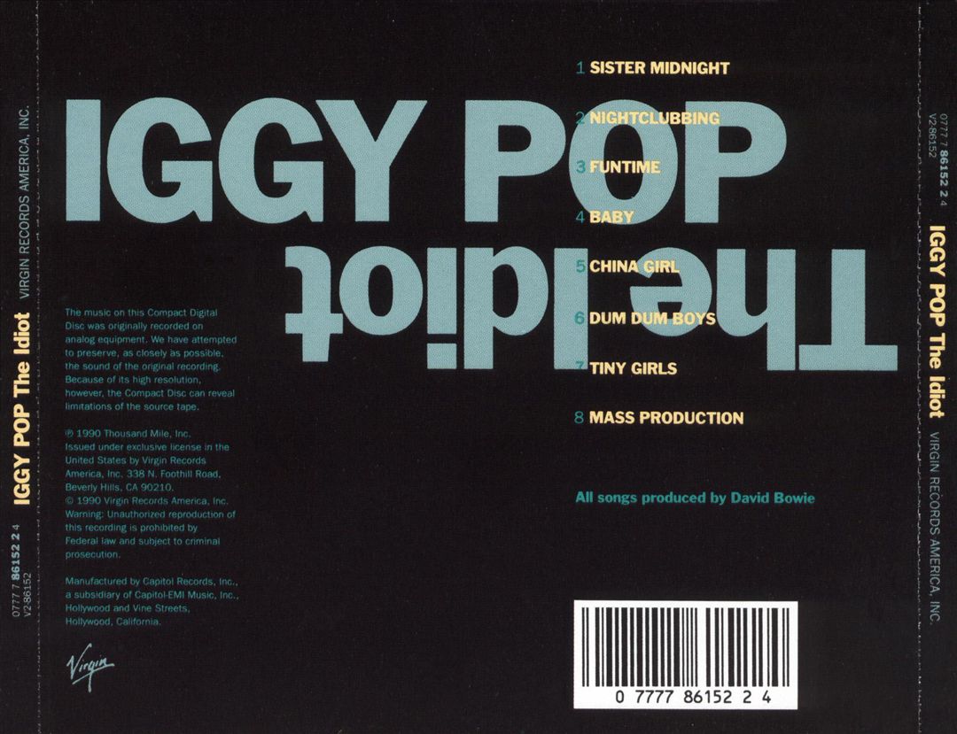Idiot cover art