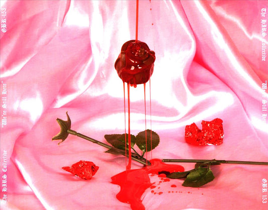 We're Still Here cover art