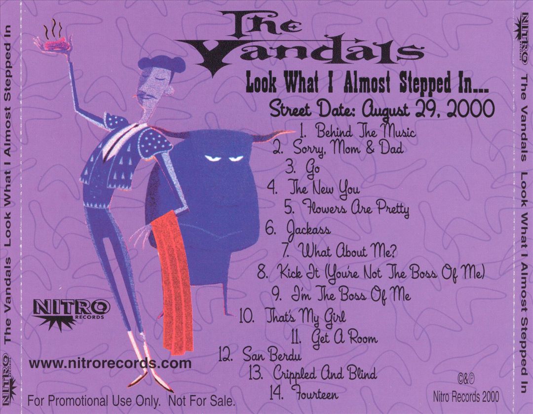 Look What I Almost Stepped In... cover art