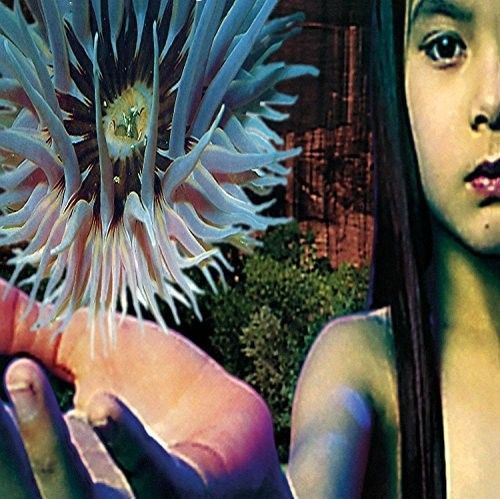Lifeforms cover art