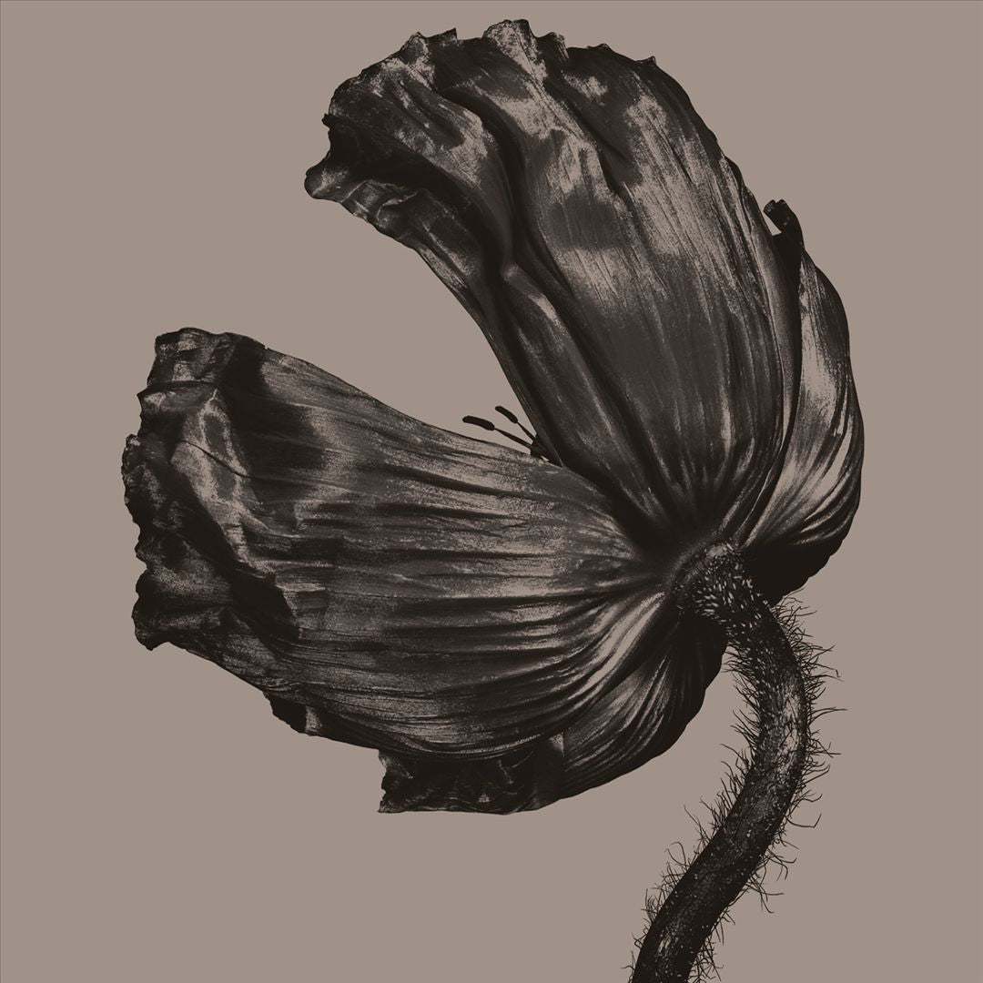 Release cover art