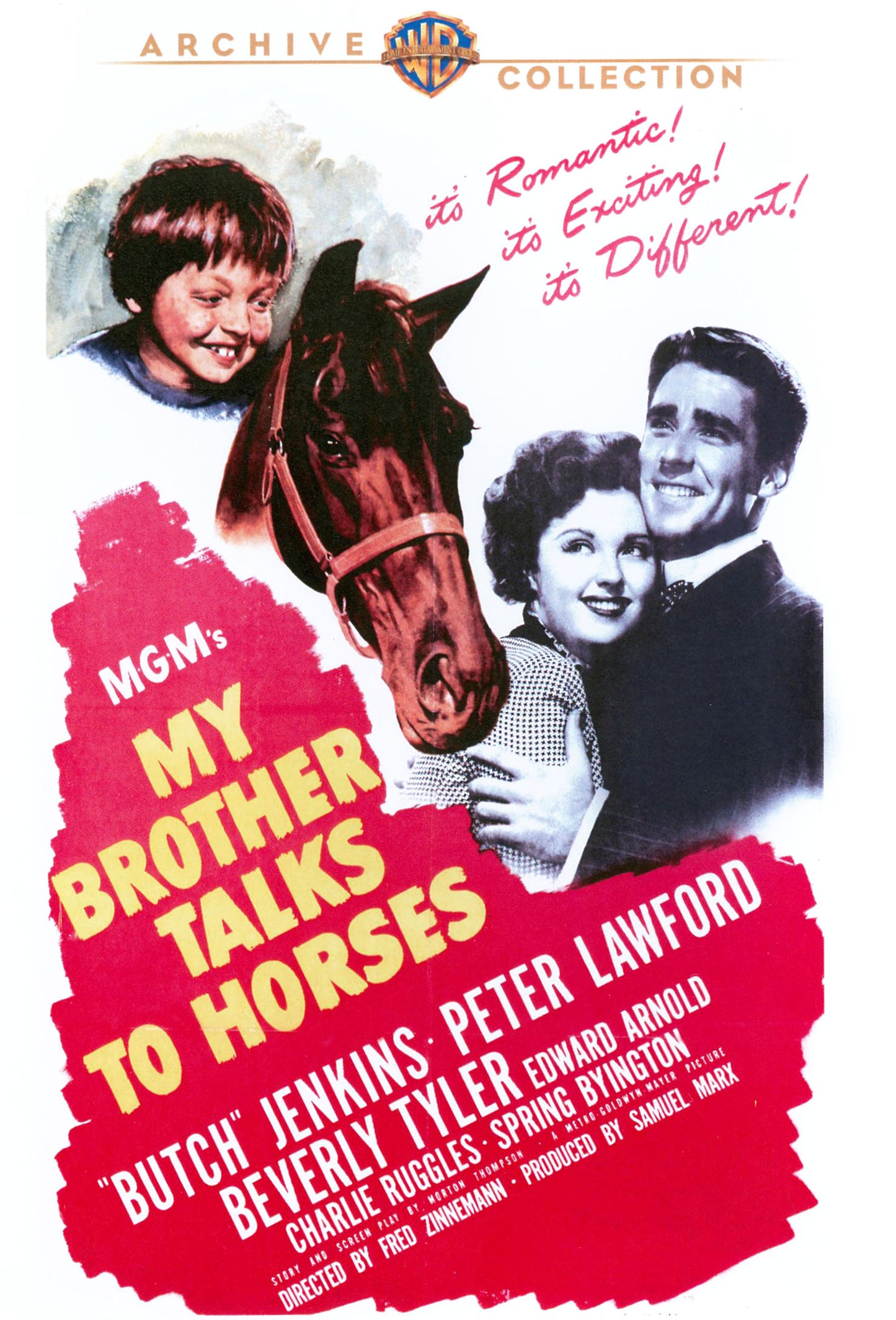 My Brother Talks to Horses cover art