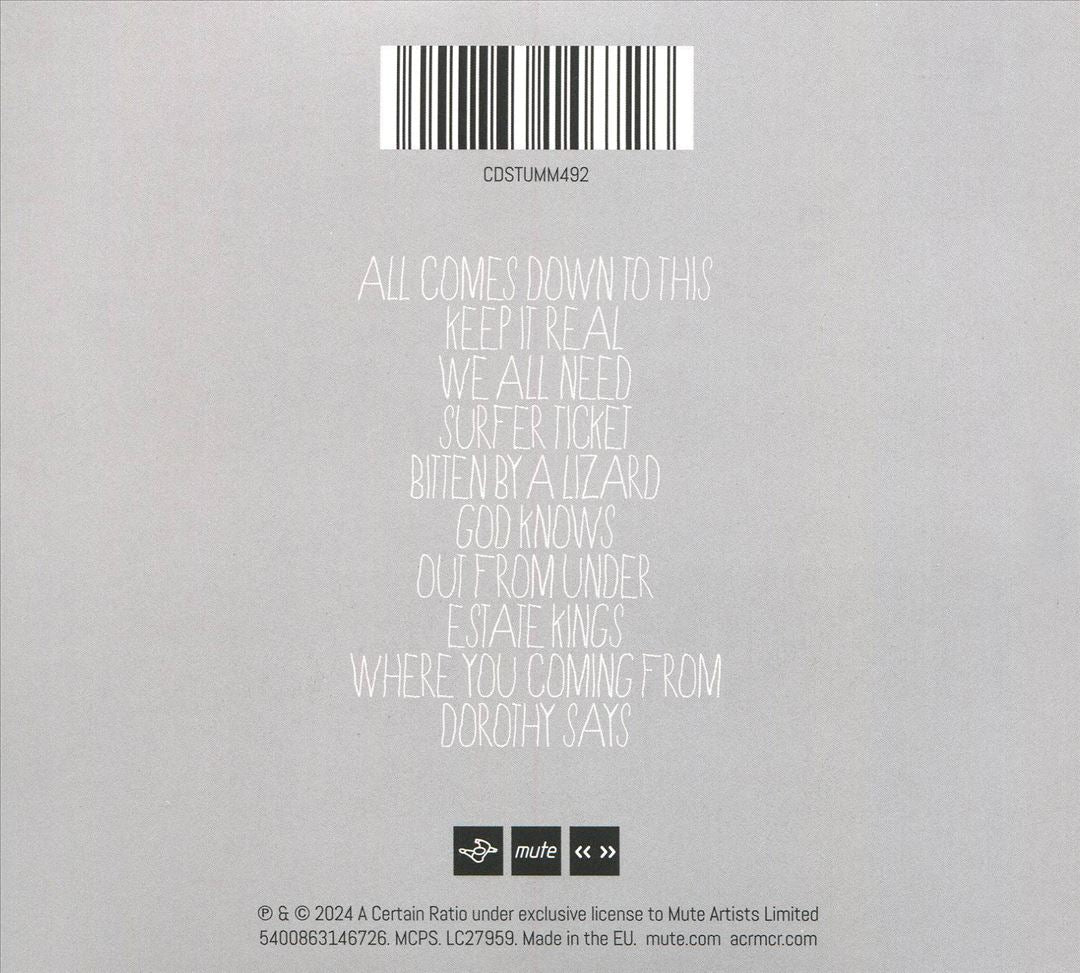 It All Comes Down to This cover art