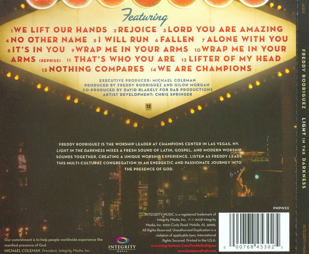 Light in the Darkness cover art