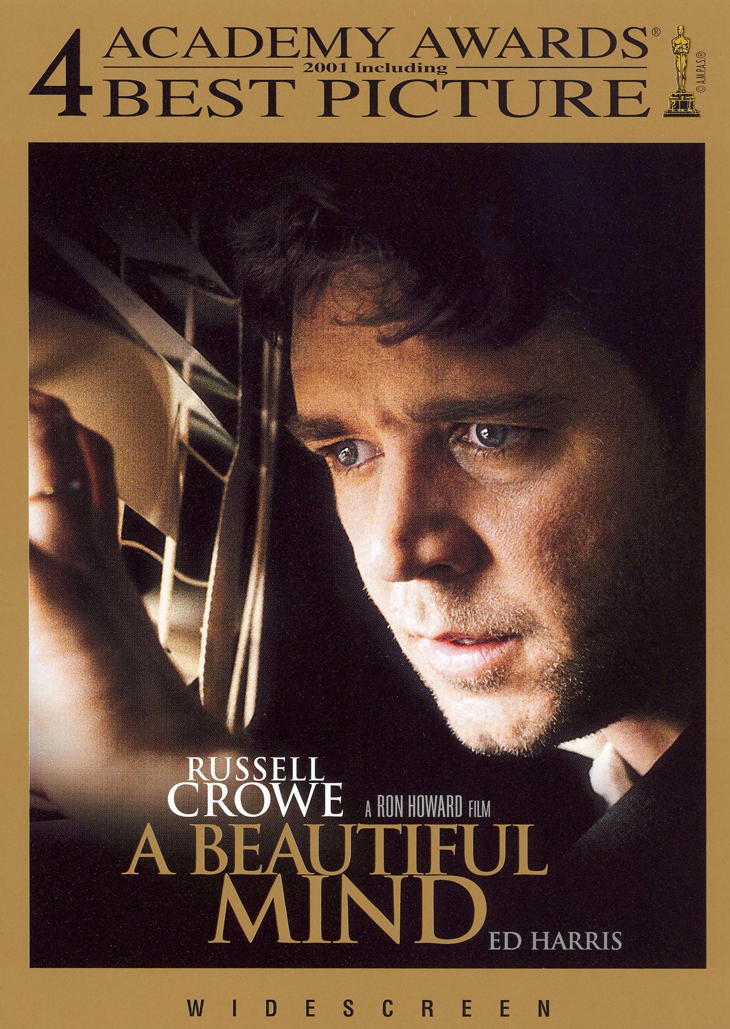 Beautiful Mind [WS] cover art