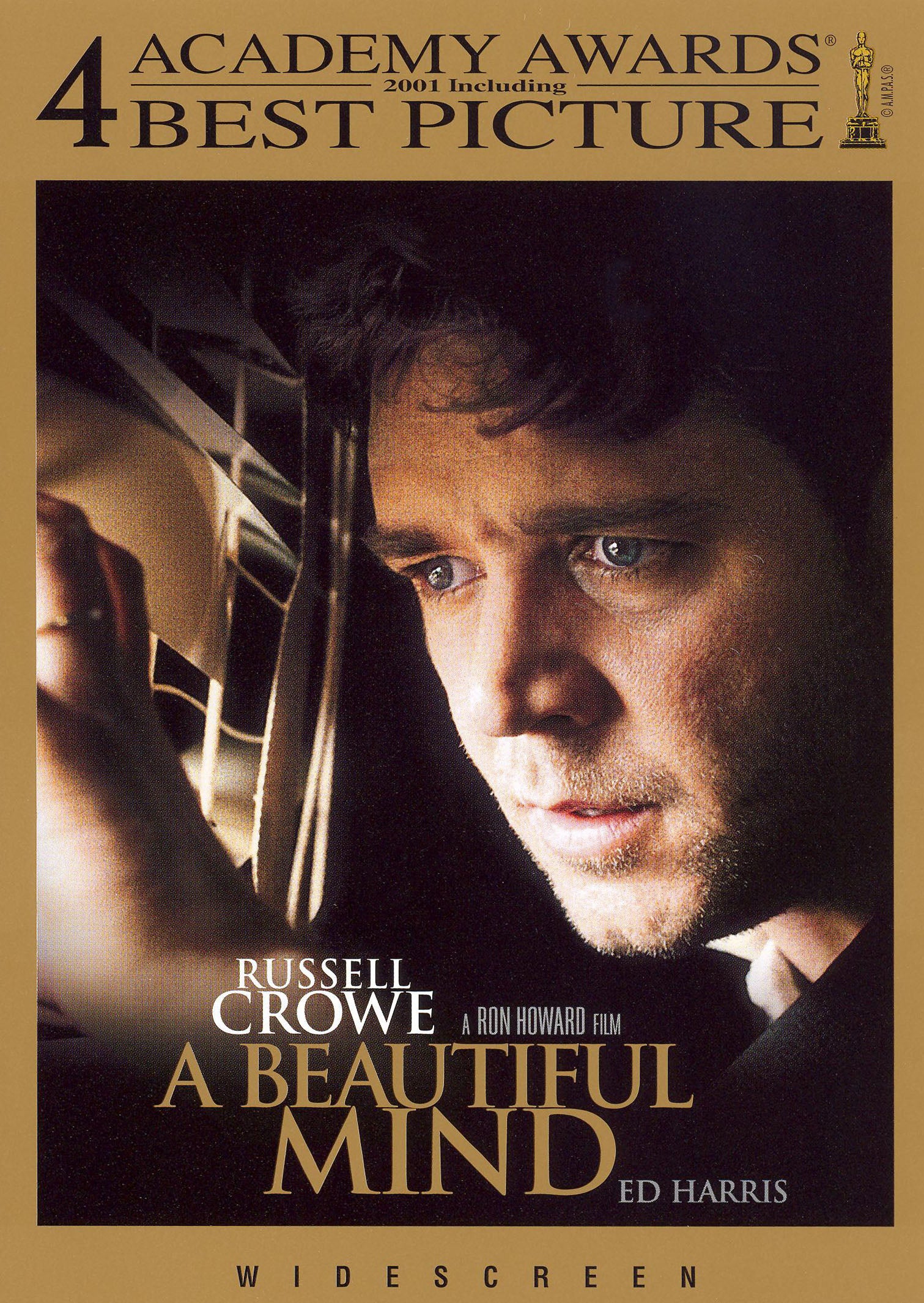 Beautiful Mind [WS] cover art