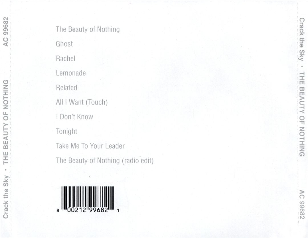 Beauty of Nothing cover art