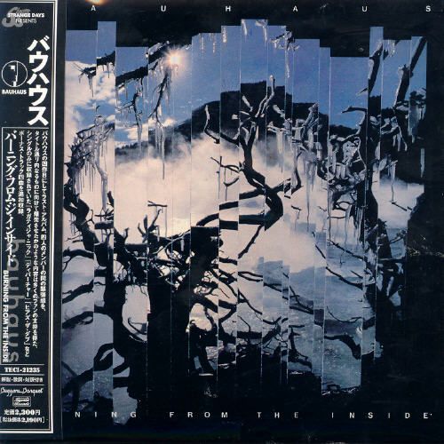 Burning from the Inside [Bonus Tracks] cover art