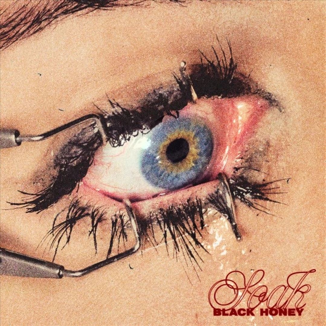 Soak cover art